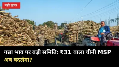 गन्ना भाव पर बड़ी समिति: ₹31 वाला चीनी MSP अब बदलेगा?