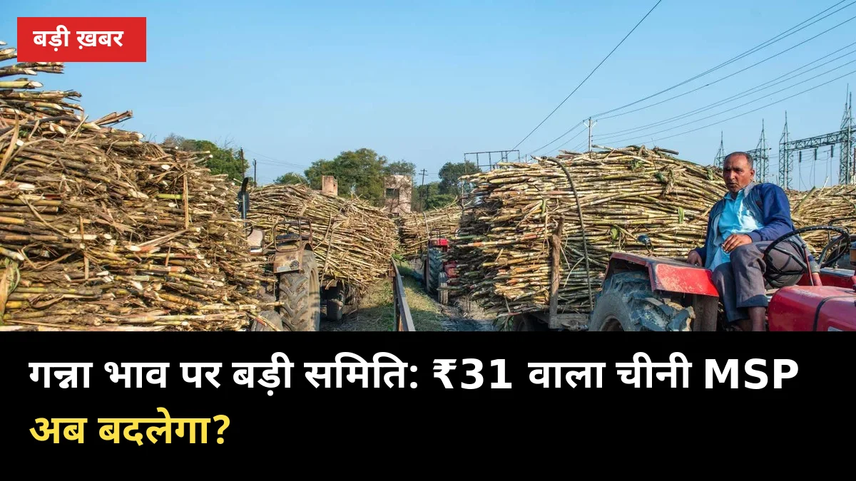 गन्ना भाव पर बड़ी समिति: ₹31 वाला चीनी MSP अब बदलेगा?