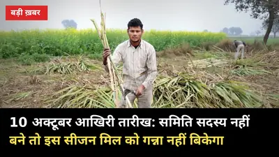 10 अक्टूबर आखिरी तारीख: समिति सदस्य नहीं बने तो इस सीजन मिल को गन्ना नहीं बिकेगा