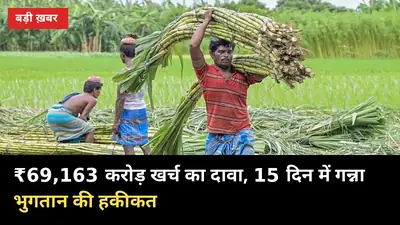 ₹69,163 करोड़ खर्च, 15 दिन में गन्ना भुगतान: कृषि मंत्री का दावा, खाते से मिलाकर देखें