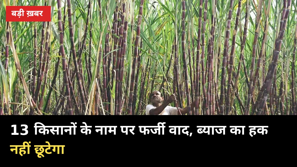 13 किसानों के नाम पर फर्जी हाईकोर्ट वाद? भाकियू बोली- ब्याज का हक नहीं छूटेगा