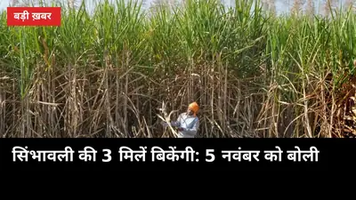 सिंभावली की 3 चीनी मिलें बिकेंगी: 5 नवंबर को बोली, 25 कंपनियां दौड़ में