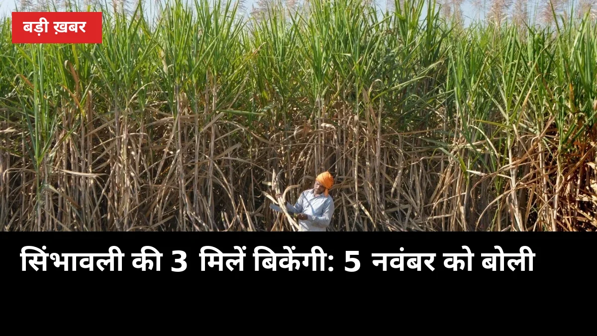 सिंभावली की 3 चीनी मिलें बिकेंगी: 5 नवंबर को बोली, 25 कंपनियां दौड़ में