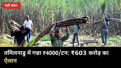 ₹603 करोड़ का तोहफा: तमिलनाडु में गन्ना ₹4000/टन, यूपी में ₹600 की मांग तेज