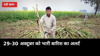 29-30 अक्टूबर को भारी बारिश का अलर्ट: यूपी में पेराई अटकी तो नवंबर में चीनी पर दबाव
