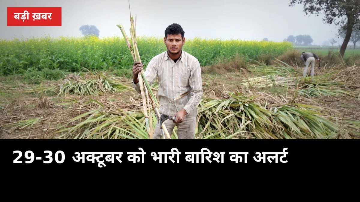 29-30 अक्टूबर को भारी बारिश का अलर्ट: यूपी में पेराई अटकी तो नवंबर में चीनी पर दबाव