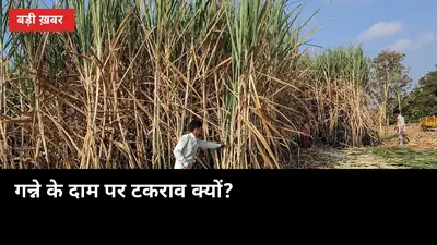 GannaUP — उत्तर प्रदेश गन्ना किसान पोर्टल