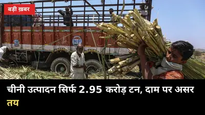 अमेरिका की रिपोर्ट: 2026-27 में चीनी उत्पादन सिर्फ 2.95 करोड़ टन, गन्ना दाम पर असर तय