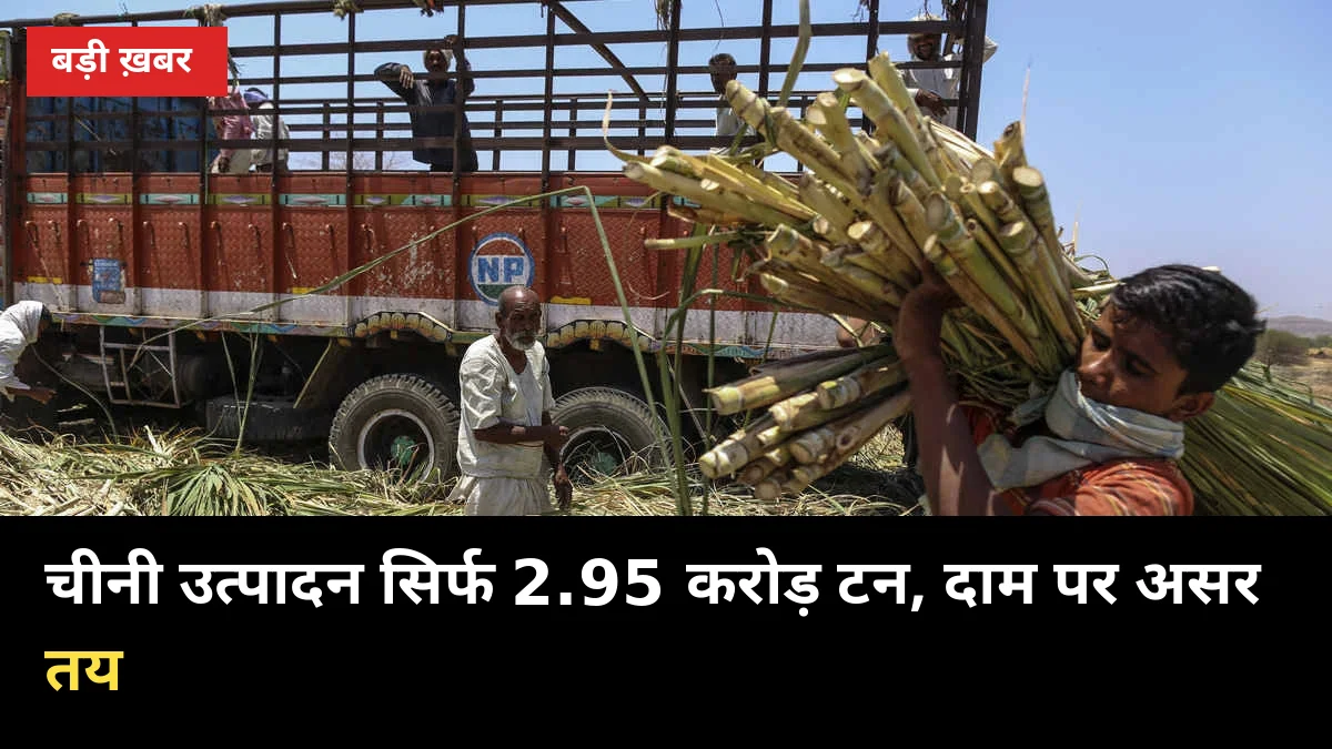 अमेरिका की रिपोर्ट: 2026-27 में चीनी उत्पादन सिर्फ 2.95 करोड़ टन, गन्ना दाम पर असर तय