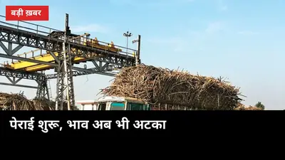 पेराई शुरू, भाव अब भी अटका: 7 नवंबर तक चलेंगी वेस्ट यूपी की ज्यादातर मिलें