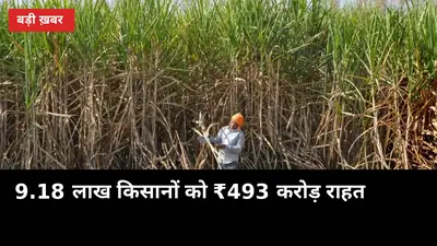 गन्ना किसानों के लिए ₹493 करोड़ राहत: 8-10 दिन में खाते तक पहुंचाने का दावा