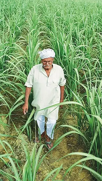 वेब स्टोरीज