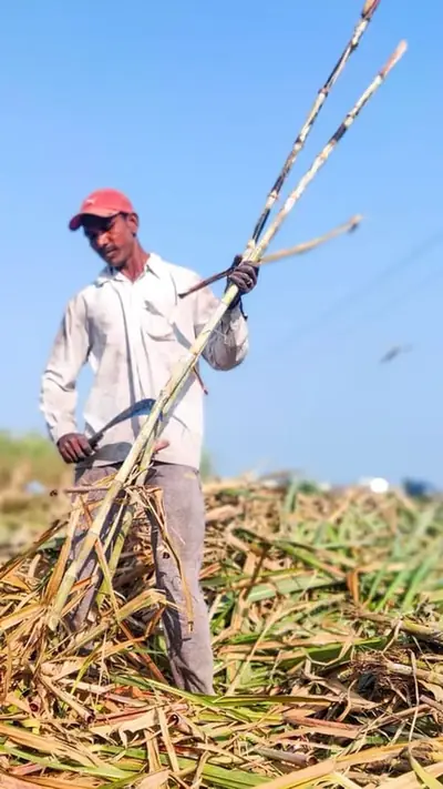 वेब स्टोरीज