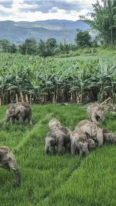 वेब स्टोरीज