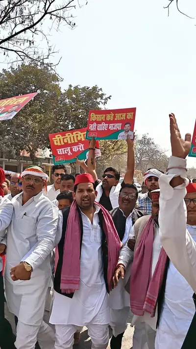 वेब स्टोरीज