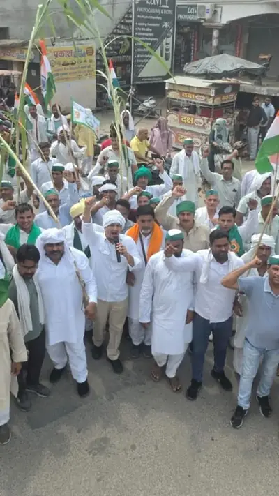 वेब स्टोरीज