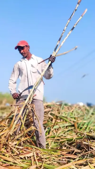 वेब स्टोरीज