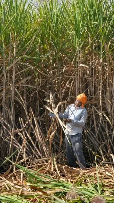 वेब स्टोरीज