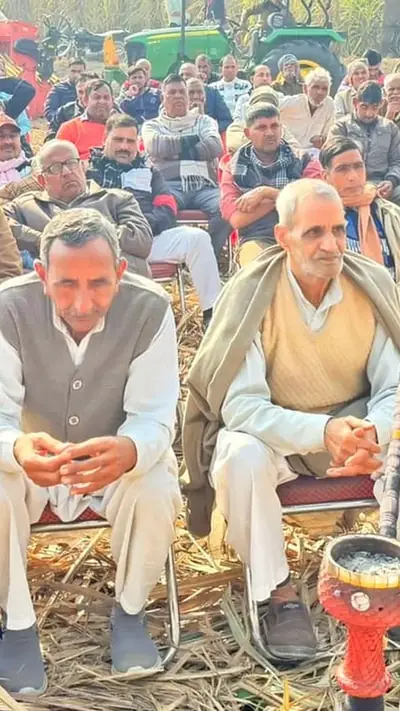 वेब स्टोरीज