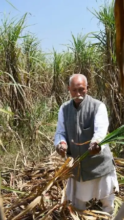 वेब स्टोरीज
