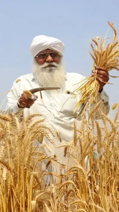 वेब स्टोरीज