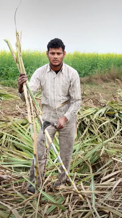 वेब स्टोरीज